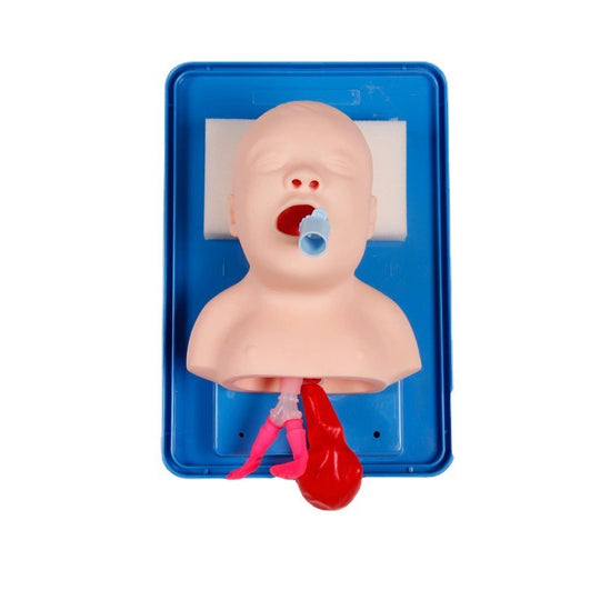 Infant Airway Intubation Manikin