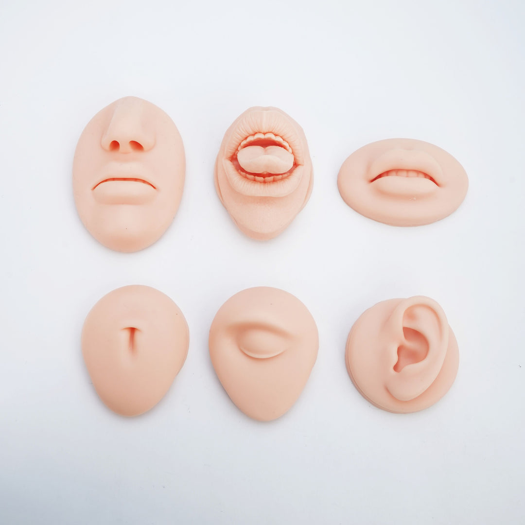 5D Silicone Face Model with Realistic Features – Perfect for Piercing Training and Jewelry Display