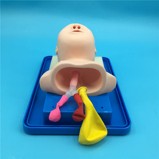 Infant Airway Intubation Manikin