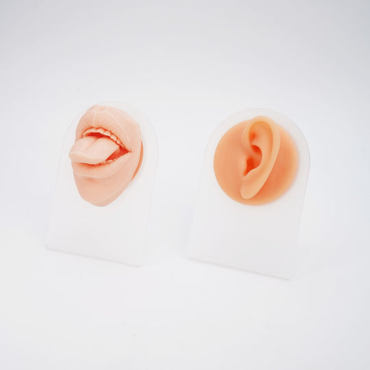 5D Silicone Face Model with Realistic Features – Perfect for Piercing Training and Jewelry Display