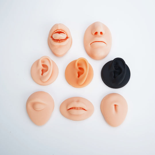 5D Silicone Face Model with Realistic Features – Perfect for Piercing Training and Jewelry Display