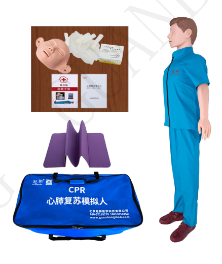 Adult CPR Training Manikin Half Body