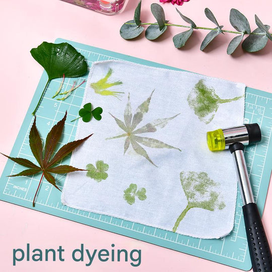 Create with Nature — Plant Dyeing Tools