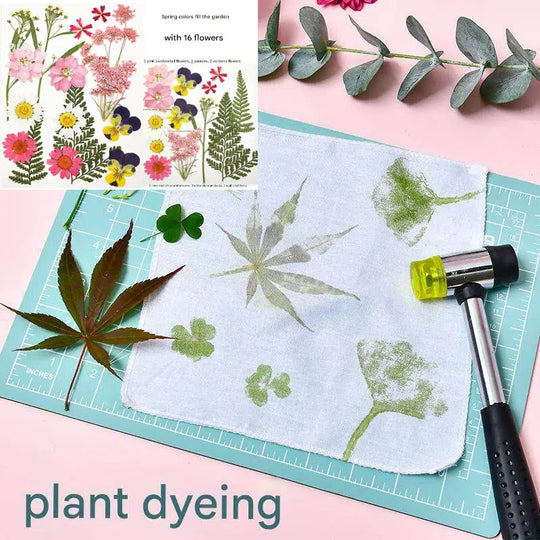 Create with Nature — Plant Dyeing Tools