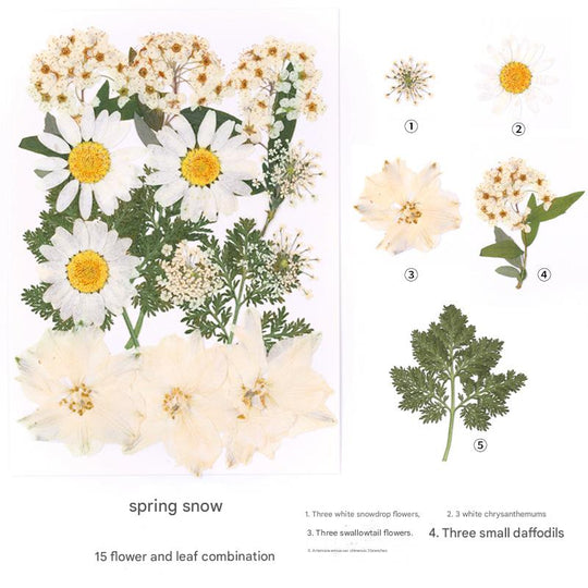 Create with Nature — Plant Dyeing Tools