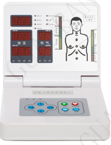 Adult CPR Training Manikin Half Body