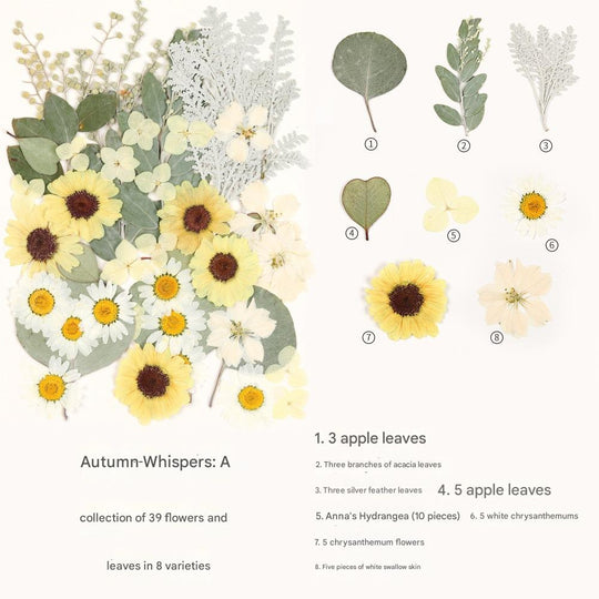 Create with Nature — Plant Dyeing Tools